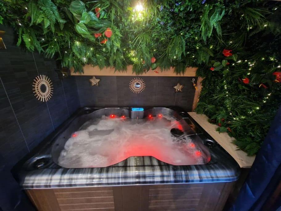 Cocon Tout Confort Spa Privatif Mieussy エクステリア 写真