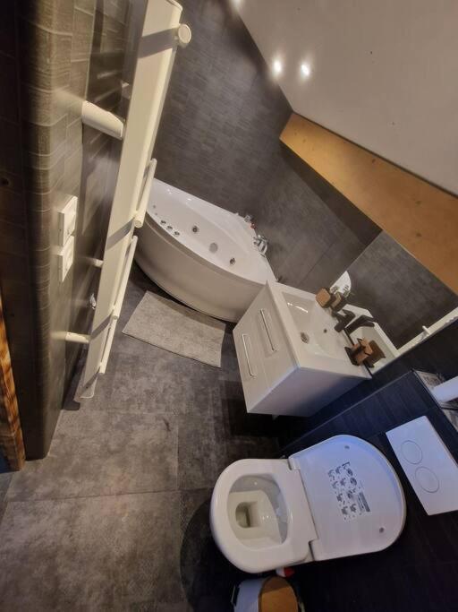 Cocon Tout Confort Spa Privatif Mieussy エクステリア 写真